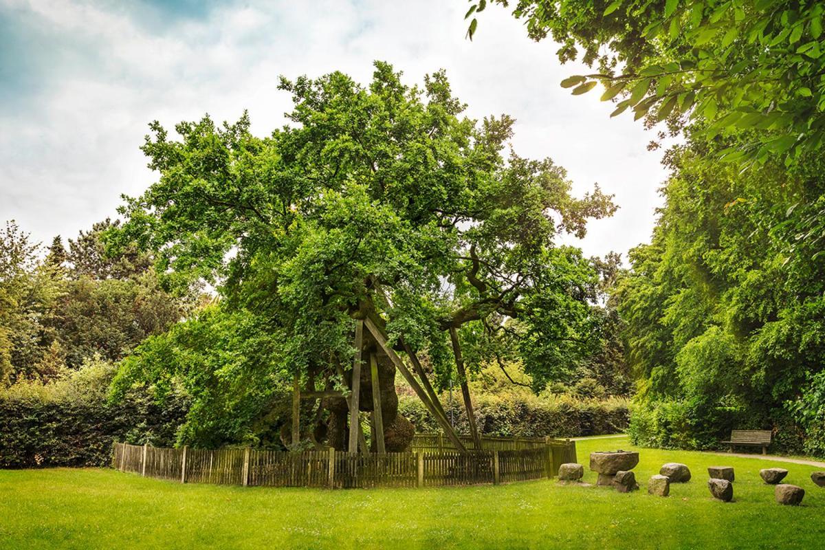 Raesfeld Erler Koornhuus Bed & Breakfast エクステリア 写真